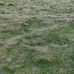 Max Stuart - Facebook