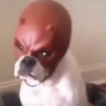 @maxstuartt - Instagram