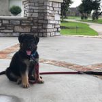 Arlo Max Stubbs - @arlomaxstubbs - Instagram