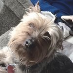Max Stubbs - @max_callie_ - Instagram