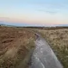 max.stubbs - @max.stubbs - TikTok
