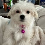 Maxwell Lawrence Stubbs - @thesenatorstubbs - Instagram