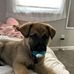 Max Skaggs - Facebook