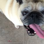 Maxamillion Sumner - @r.i.p_maxsumner - Instagram