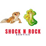 Max Sumpter - @shock_n_rock_exotics - Instagram