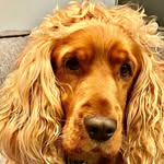 Max sutherland - @maxsut21 - Instagram