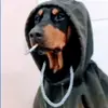 max swan - @maxcrepypastaplus - TikTok
