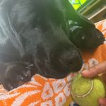 Max Swanson - @ma.x_swanson - Instagram