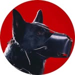 Max Schweitzer - @maxjsc - Instagram