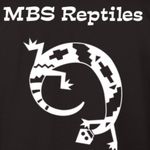 Max Swenson - @mbs_reptiles - Instagram