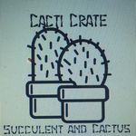 Max Swenson - @cacticrate - Instagram