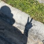 @maxswing22m - Instagram