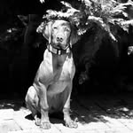 @max_szabo722 - Instagram