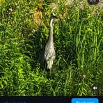 Max Szabo - Facebook