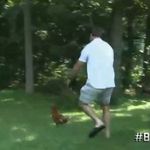 Max Talbot's Chickens - @maxtalbotschickens - Instagram