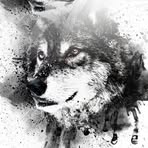 Max Tam - Facebook