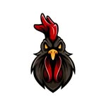 MAXTAM RACING - @maxtam_racing - Instagram