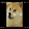 Max Tapia - @maxtapia - TikTok