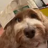 Max - @max.tarr - TikTok