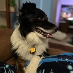 Max Tarr - @_good_boi_max_ - Instagram