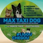 Max Taxi Dog - @maxtaxidog - Instagram