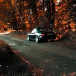 MaxTempler - @_max_._.__ - Instagram