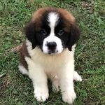 Max A Million_ Thatcher - @maxamillion_thatcher - Instagram