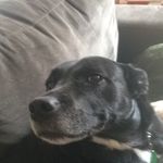 OwenMaxThayer777 - @owenmaxthayer - Instagram