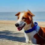 Max - @max.theindiegirl - Instagram