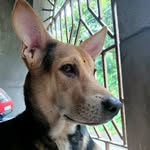max - @max_theindie - Instagram