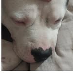 max - @max_the_lendi1234 - Instagram