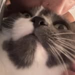 Max Thelen - @74_thelen - Instagram