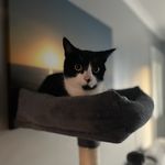 max - @maxtheobaldd - Instagram