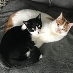 Max Theobald - @mtheobald011101 - Instagram