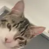 maxtheobald - @maxtheooo - TikTok