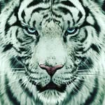 max thiele - @thiele3383 - Instagram