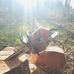 Max Thiele - Facebook