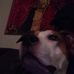 Max Thomsen - Facebook