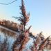 Max Thomsen - Facebook