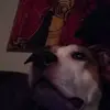 maxthomsen00 - @maxthomsen00 - TikTok