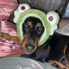 max_thorn - @max_thorn - TikTok