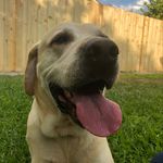 Max Tierney - @meet_hsl_max - Instagram