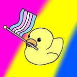 Max Tierney - @trans_duck_insta - Instagram