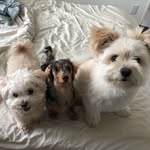 Max & Tiffany & Chloè - @max_tiffa_chloe - Instagram