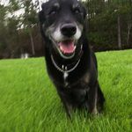 Max _Tilley_ - @max_tilley_ - Instagram