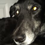 Max Tilley - @maxdog_11 - Instagram