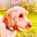 Max Tilley Hughes - @maxtilleyhughes - Instagram