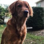 Tillman Max - @tillman.max - Instagram