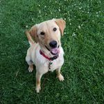 max timmons - @max.timmons - Instagram