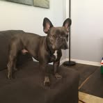 Max Timmons - Facebook